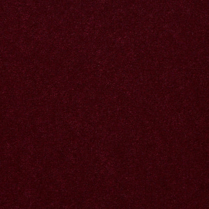CUT PILE SOLID