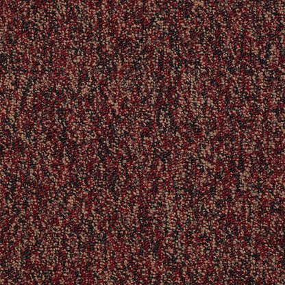 LEVEL LOOP