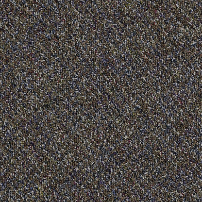 GRAPHICS   HS LOOP