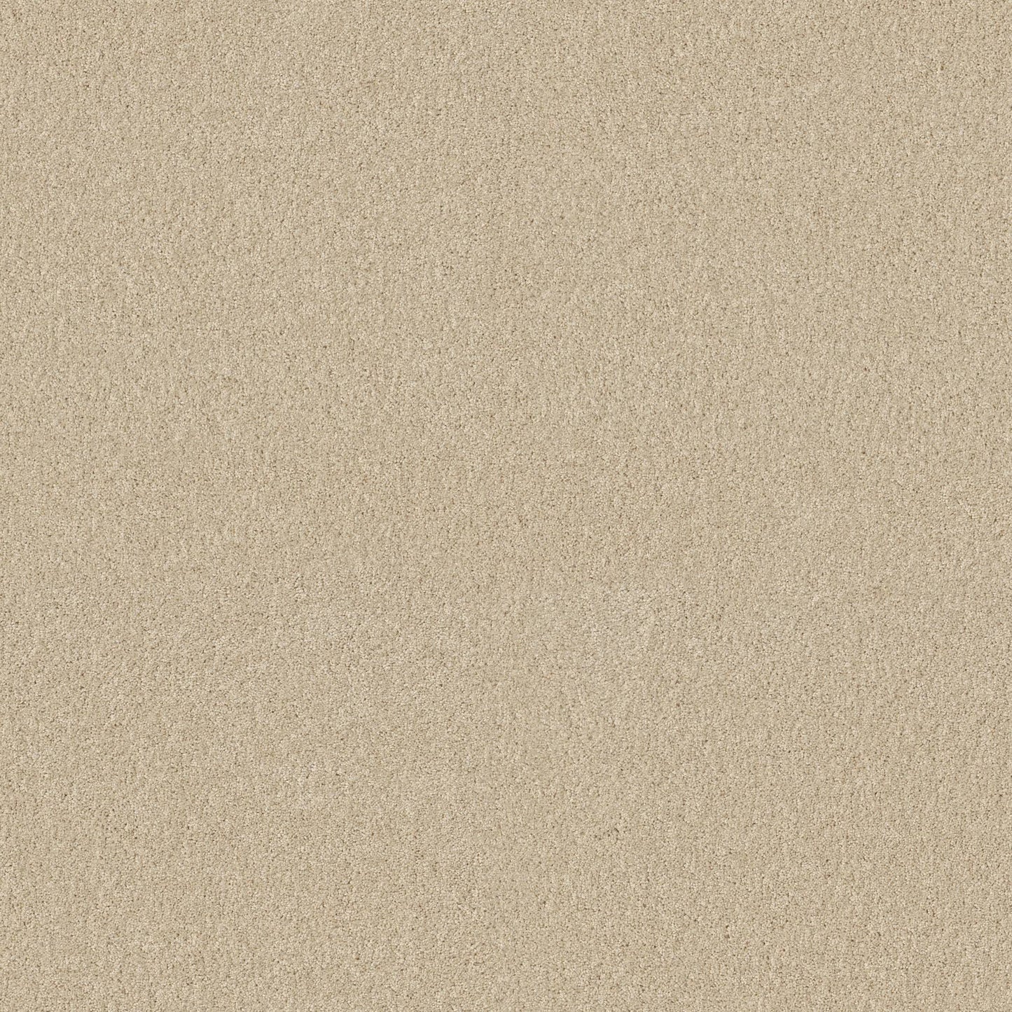 TEXTURE BCF