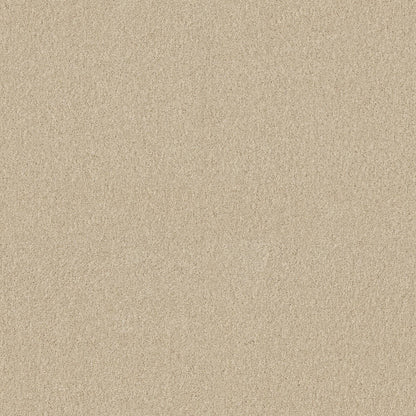 TEXTURE BCF