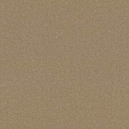 TEXTURE BCF