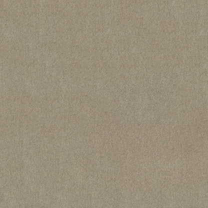 TEXTURE BCF