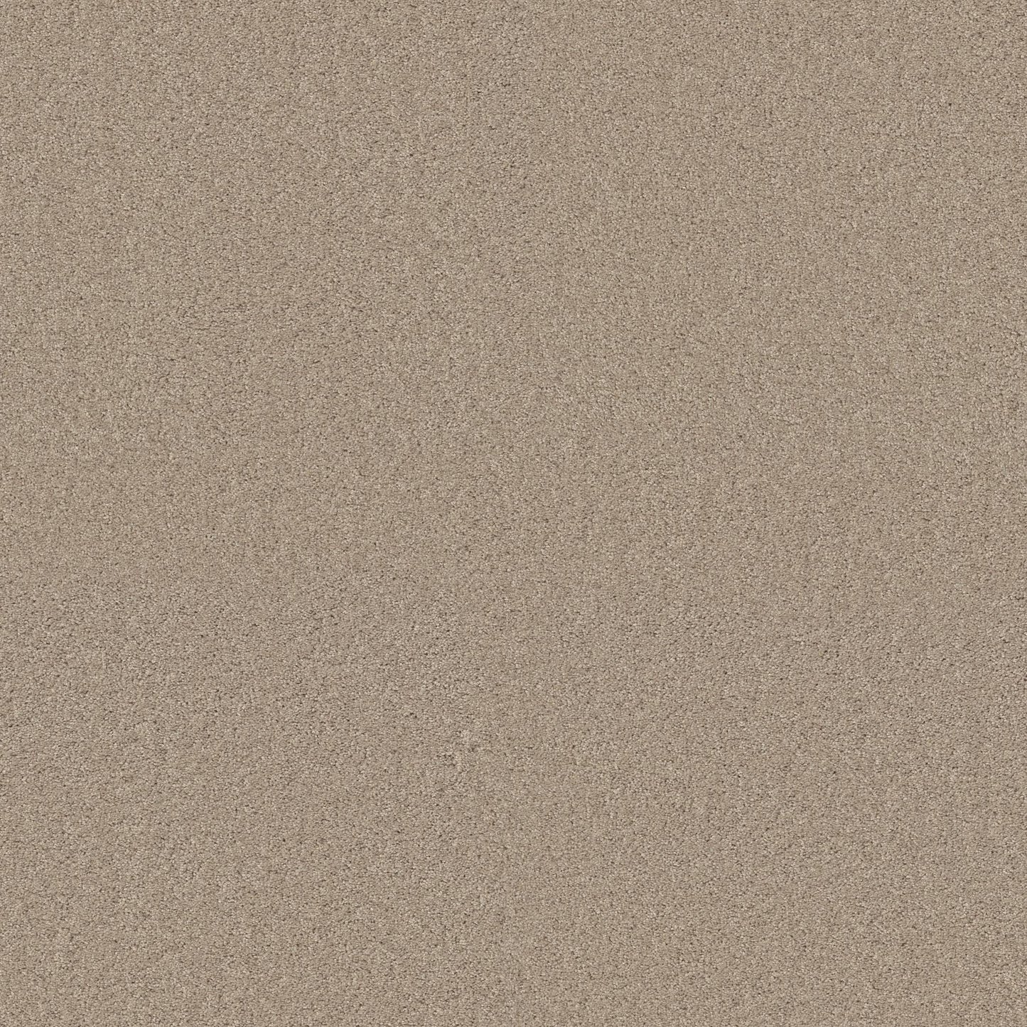 TEXTURE BCF