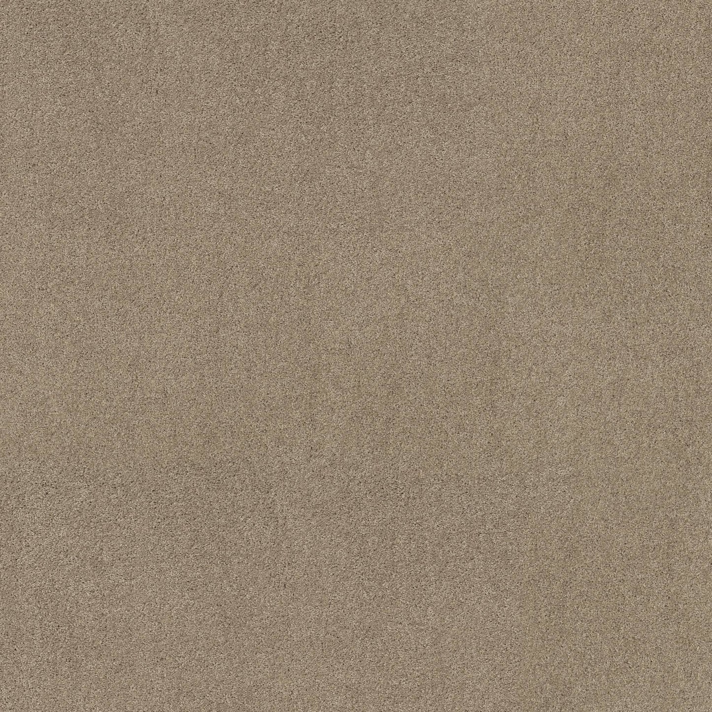 TEXTURE BCF