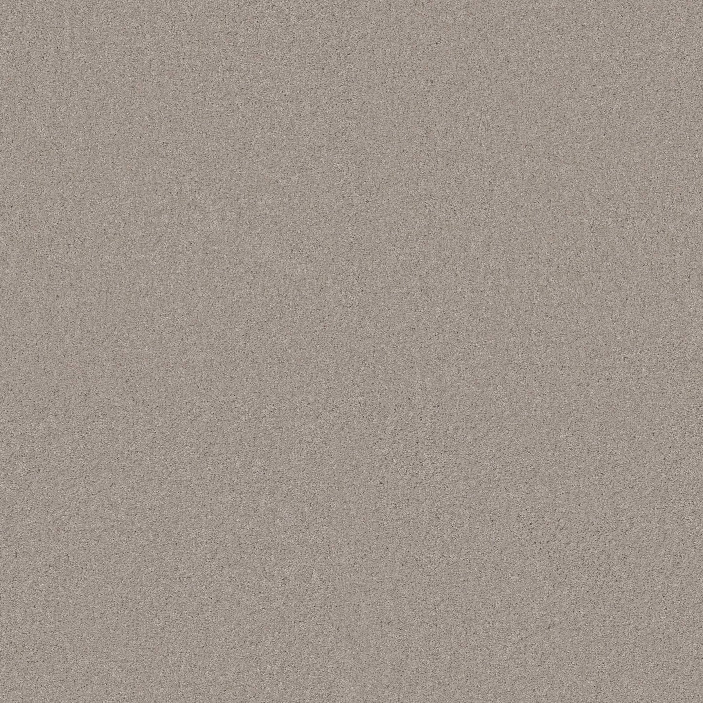 TEXTURE BCF