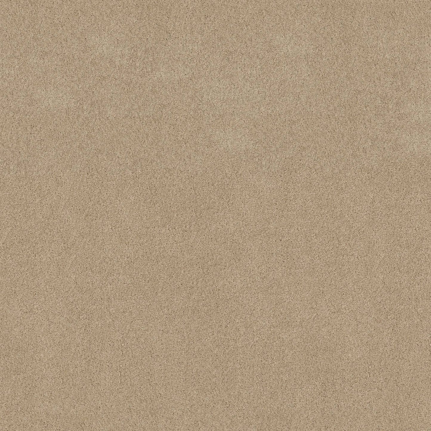 TEXTURE BCF