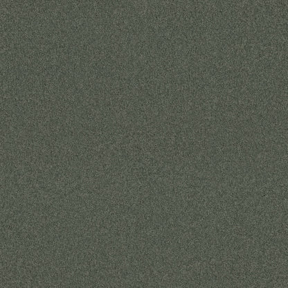 TEXTURE BCF