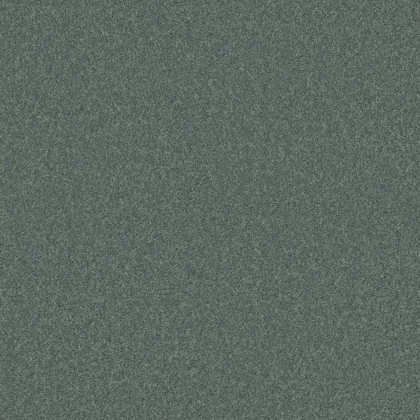 TEXTURE BCF