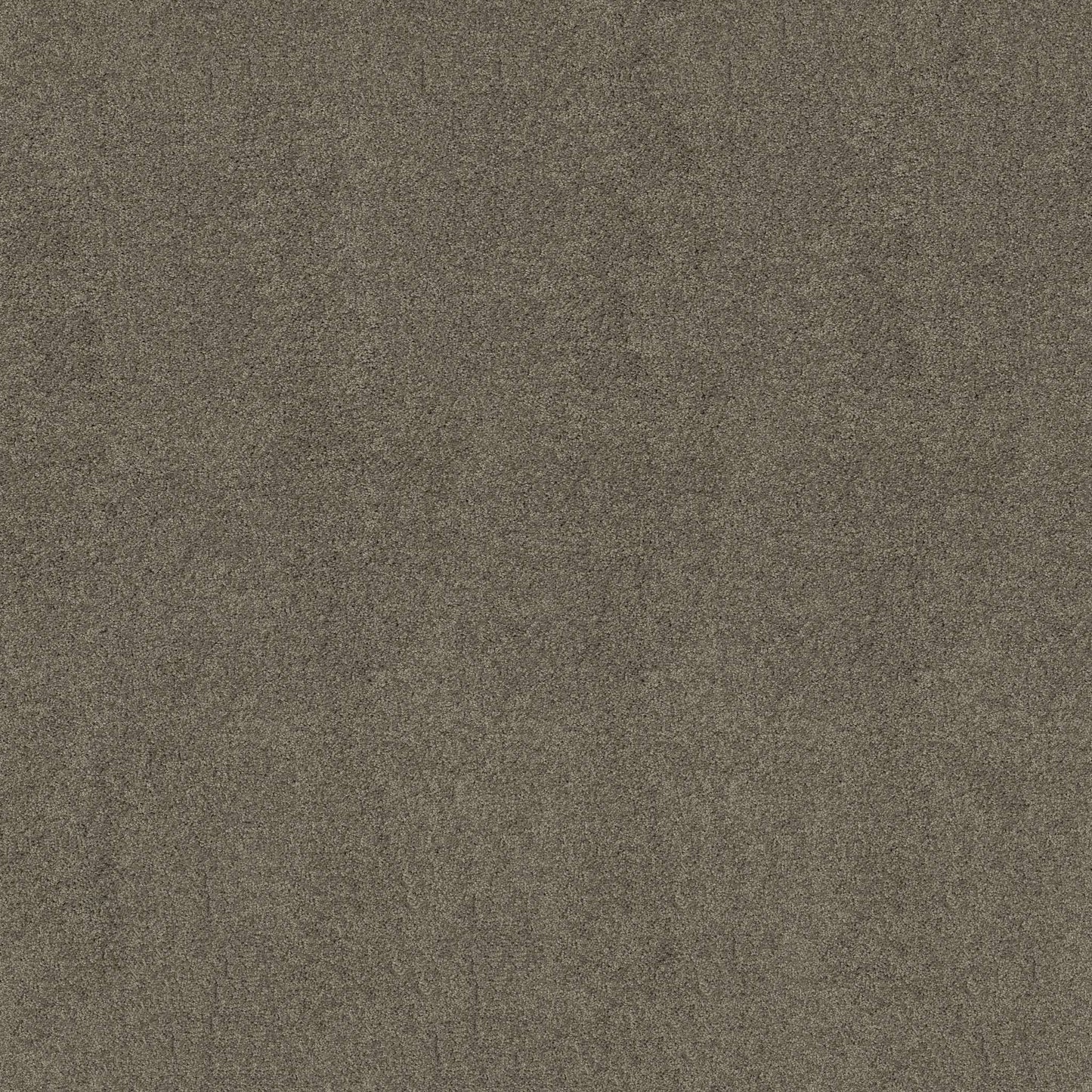 TEXTURE BCF