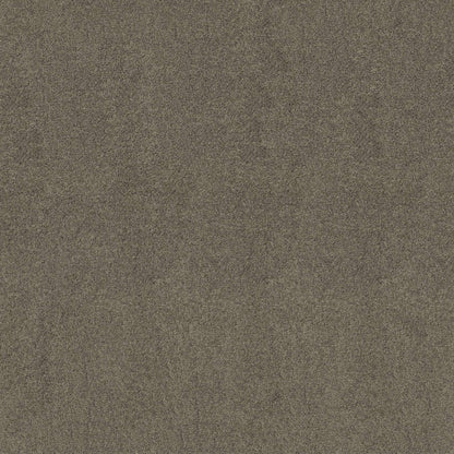 TEXTURE BCF