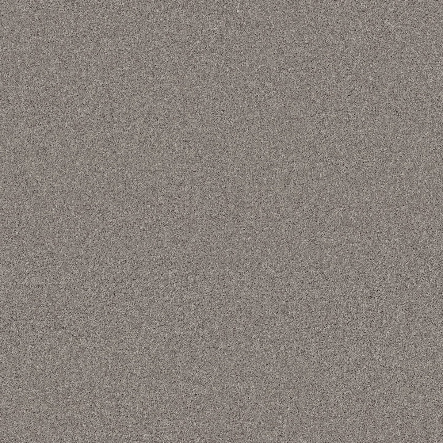 TEXTURE BCF