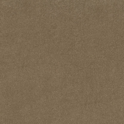 TEXTURE BCF