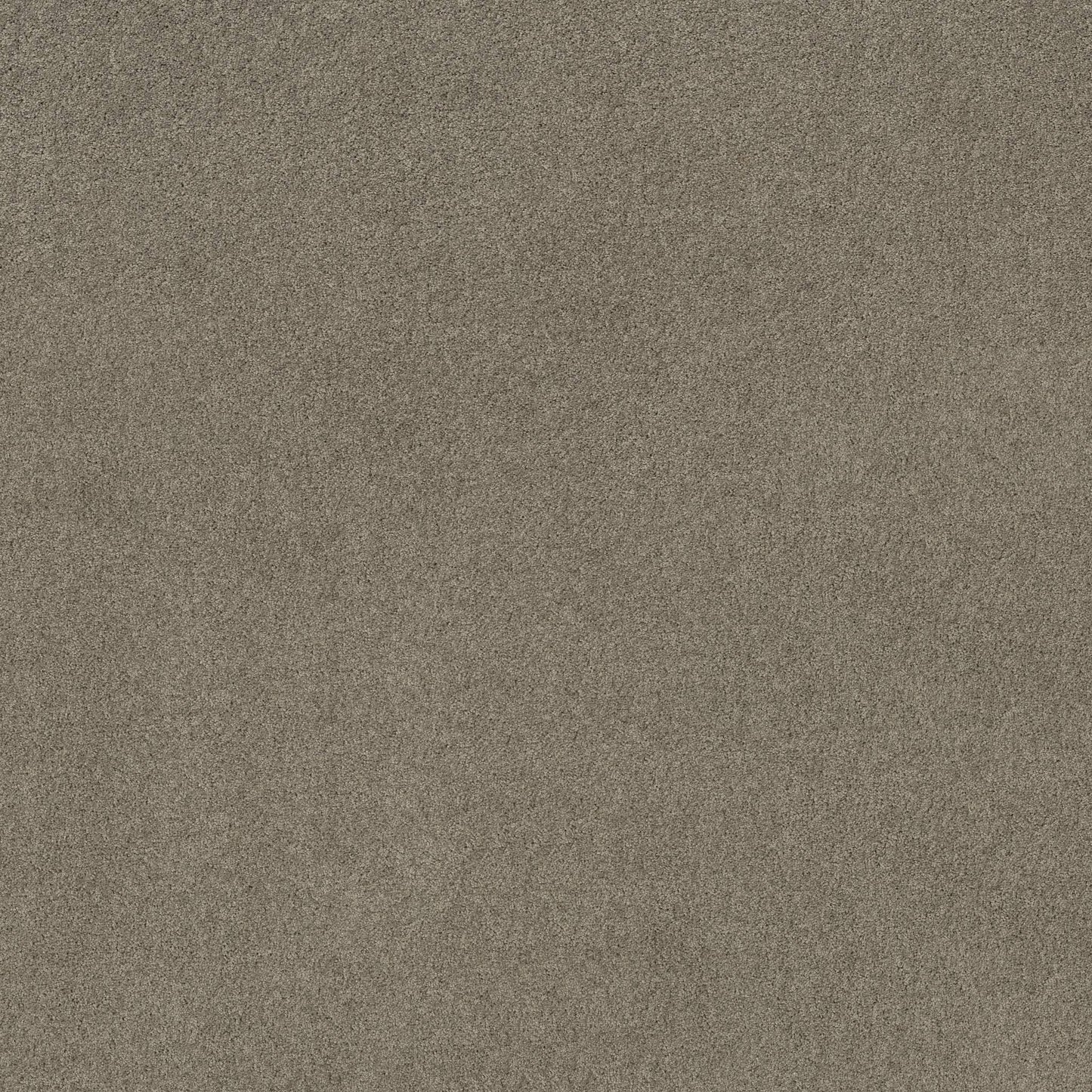 TEXTURE BCF