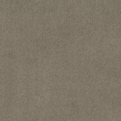 TEXTURE BCF