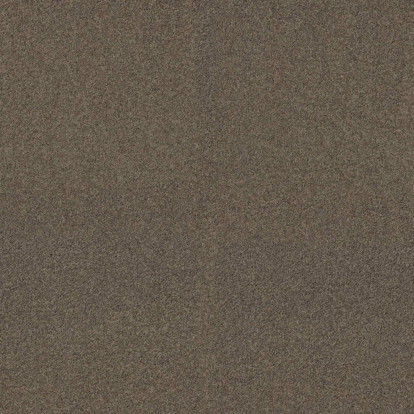 TEXTURE BCF
