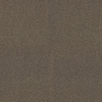 TEXTURE BCF
