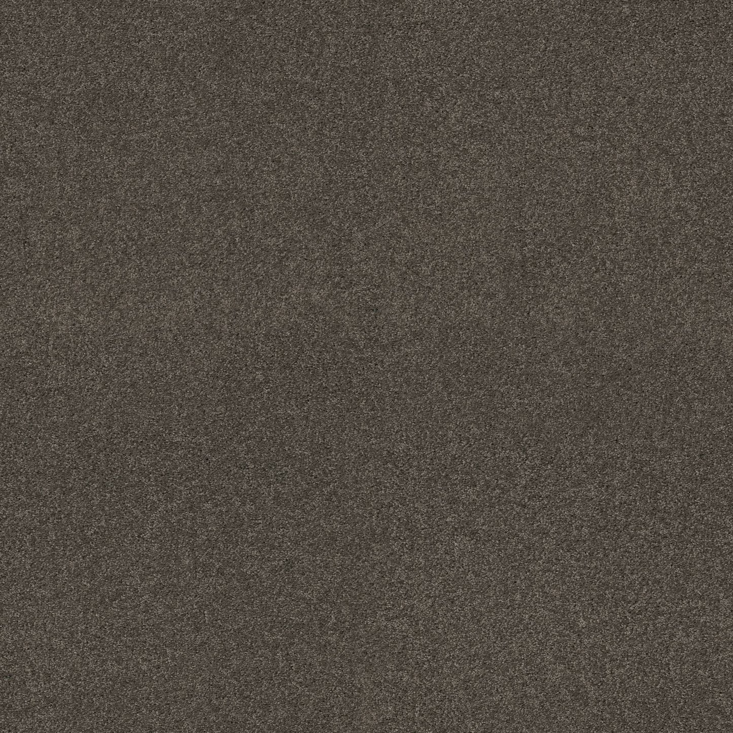 TEXTURE BCF