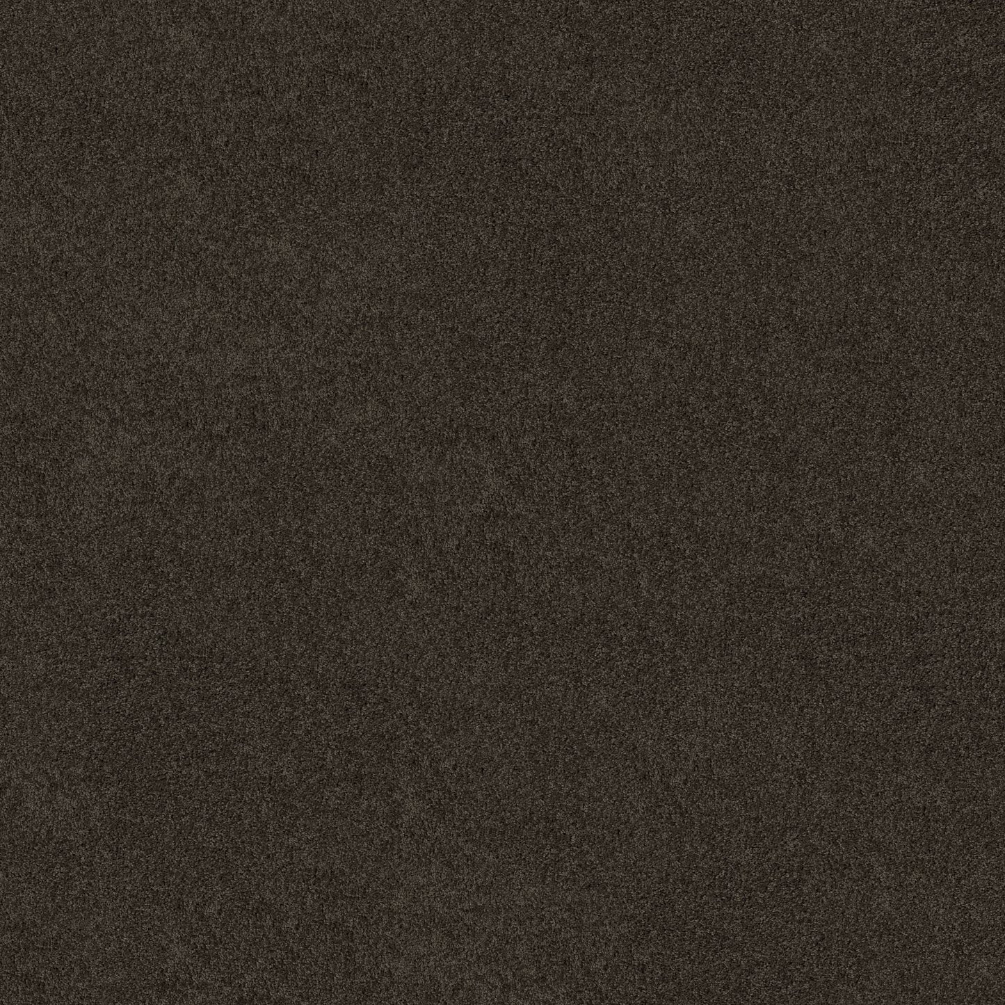 TEXTURE BCF