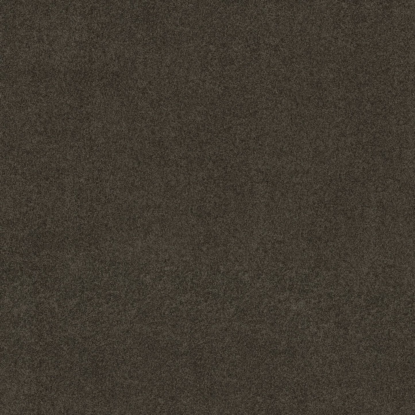 TEXTURE BCF