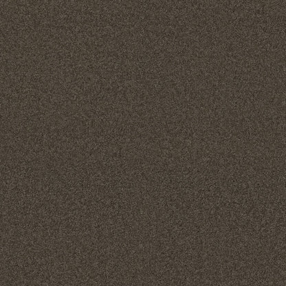 TEXTURE BCF