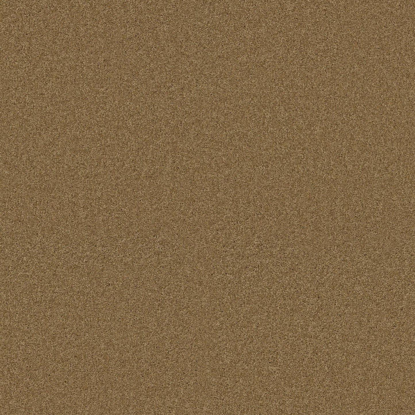 TEXTURE BCF