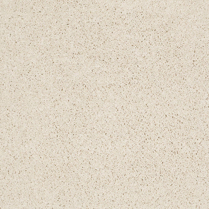 TEXTURE BCF