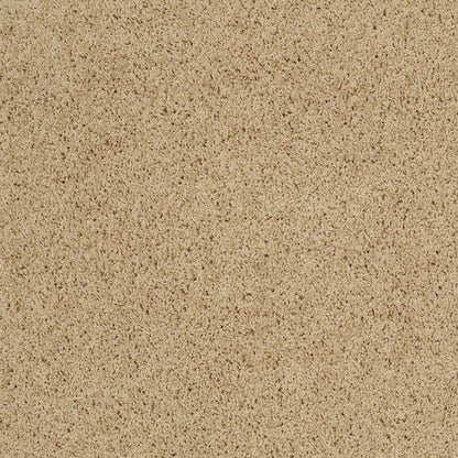 TEXTURE BCF