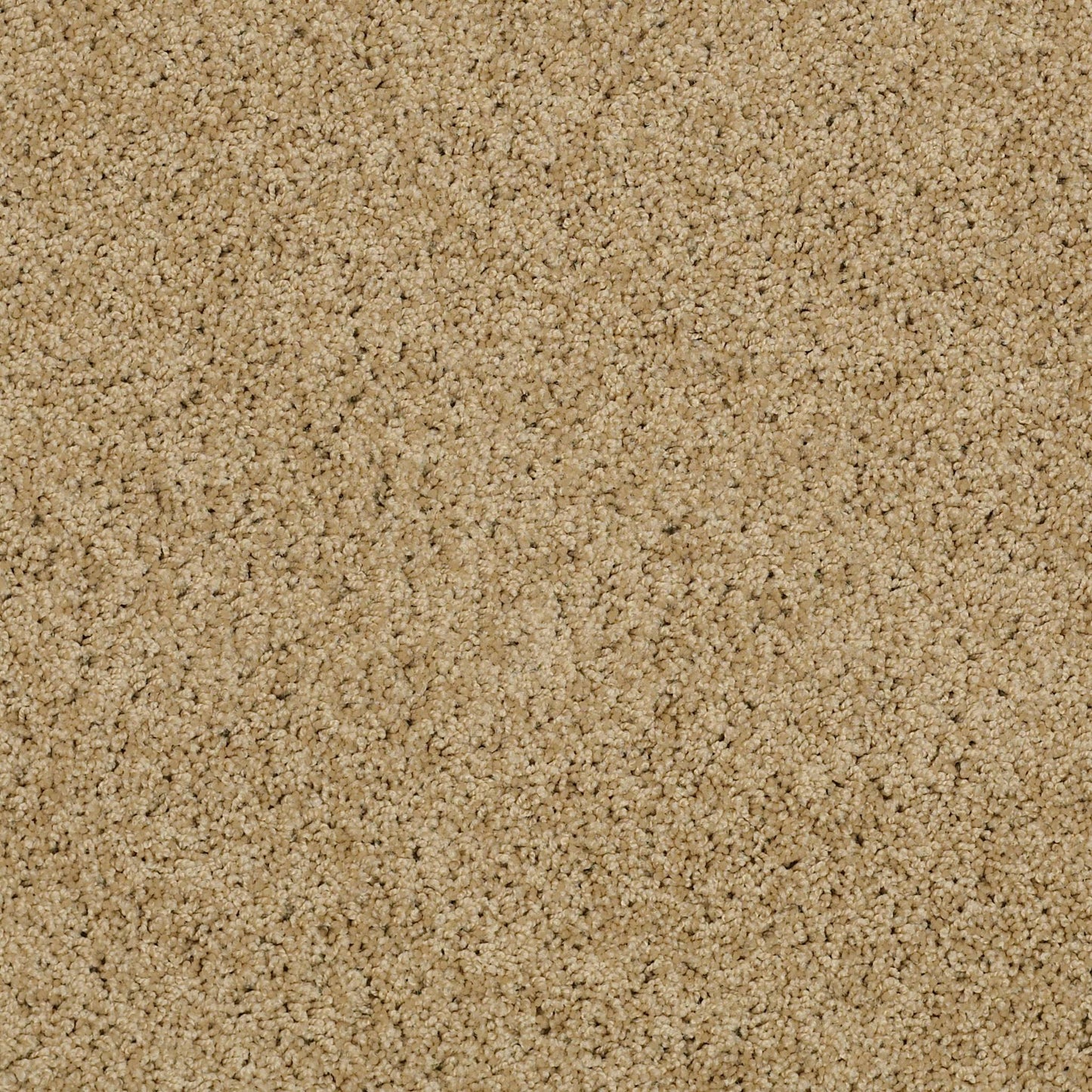 TEXTURE BCF