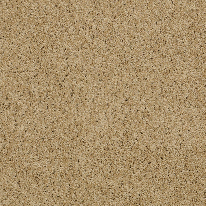 TEXTURE BCF