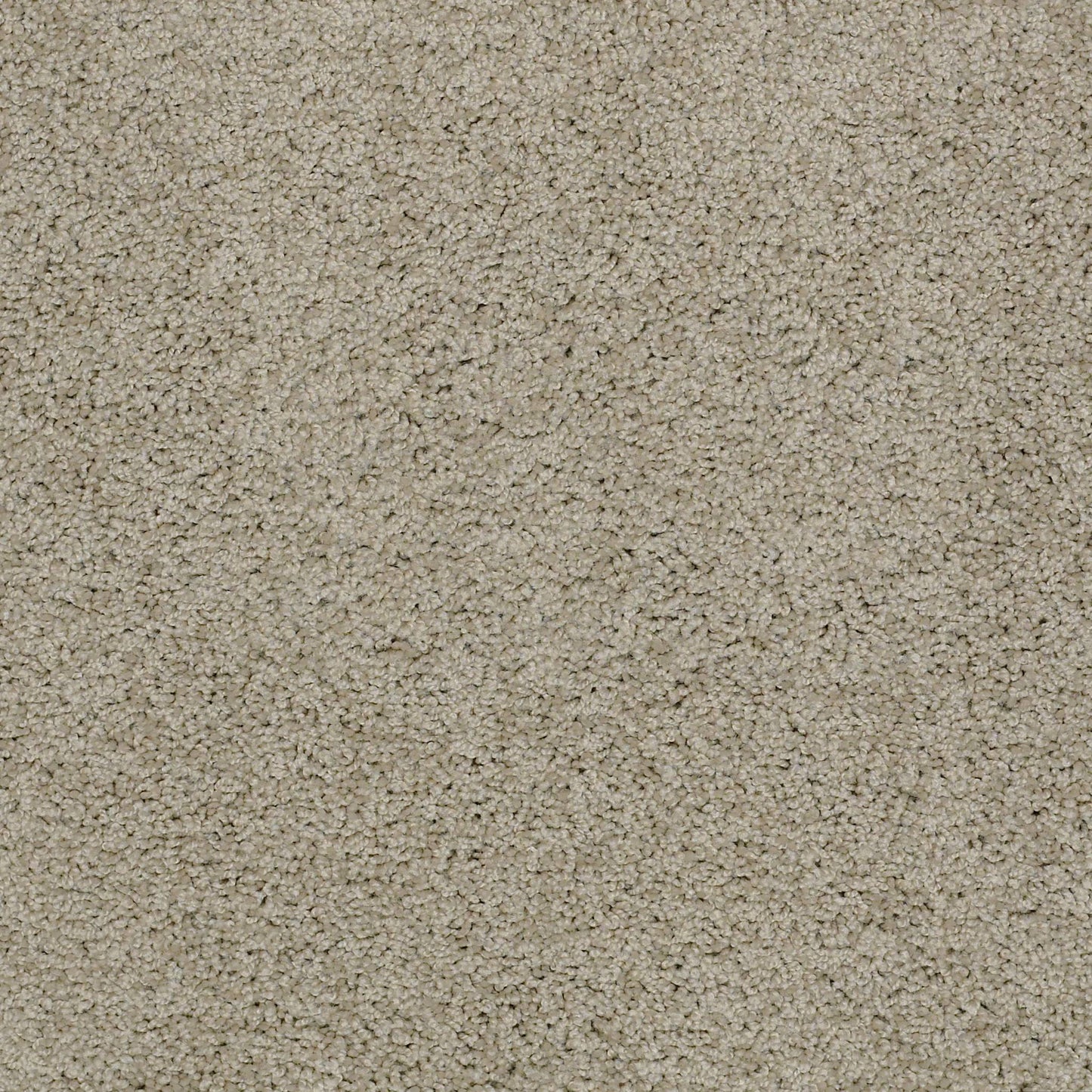 TEXTURE BCF