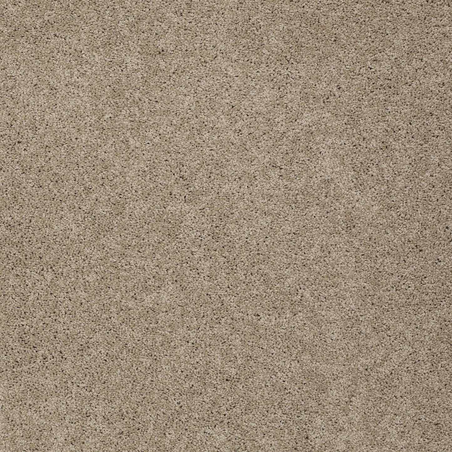 TEXTURE BCF