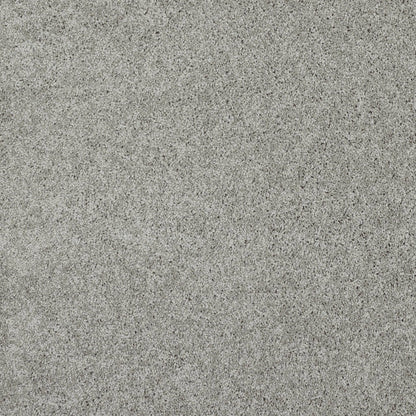 TEXTURE BCF
