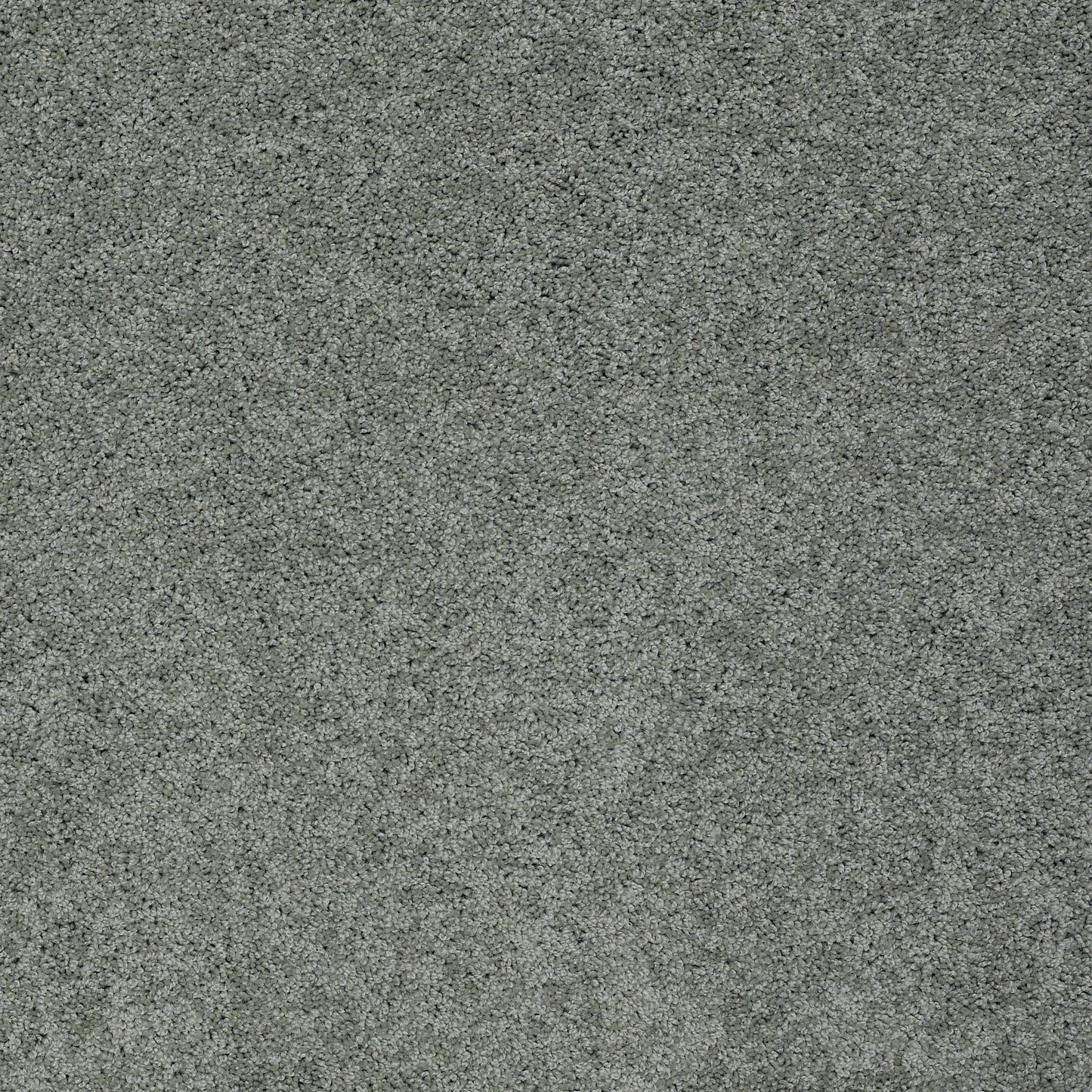 TEXTURE BCF