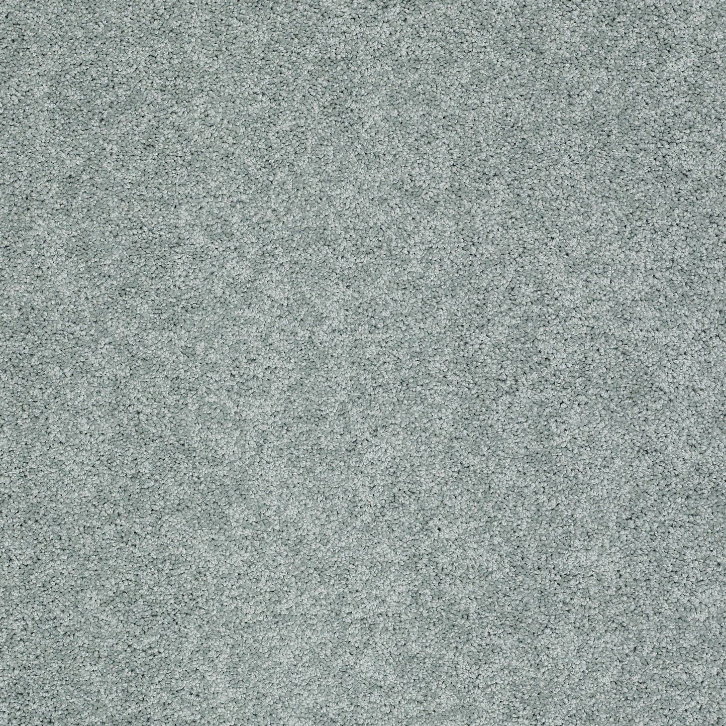 TEXTURE BCF