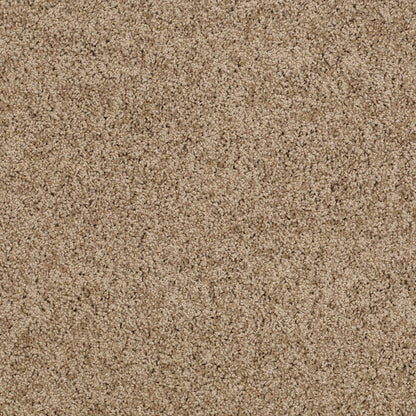 TEXTURE BCF