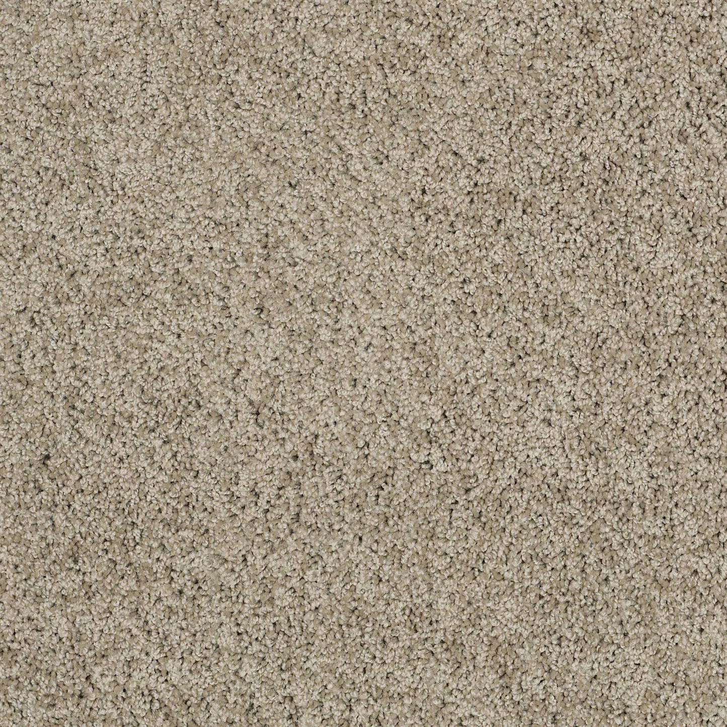 TEXTURE BCF