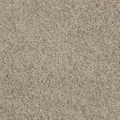 TEXTURE BCF