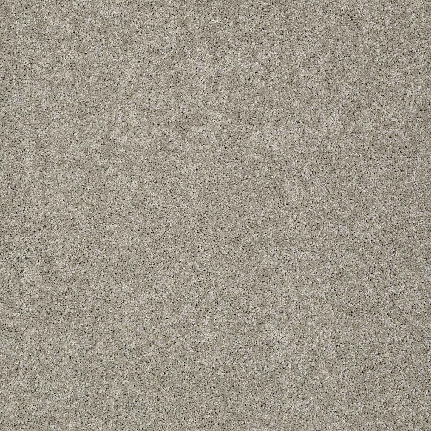 TEXTURE BCF