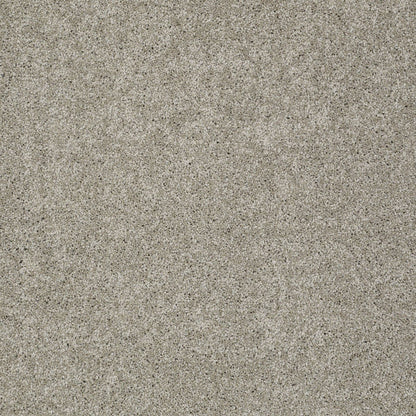 TEXTURE BCF