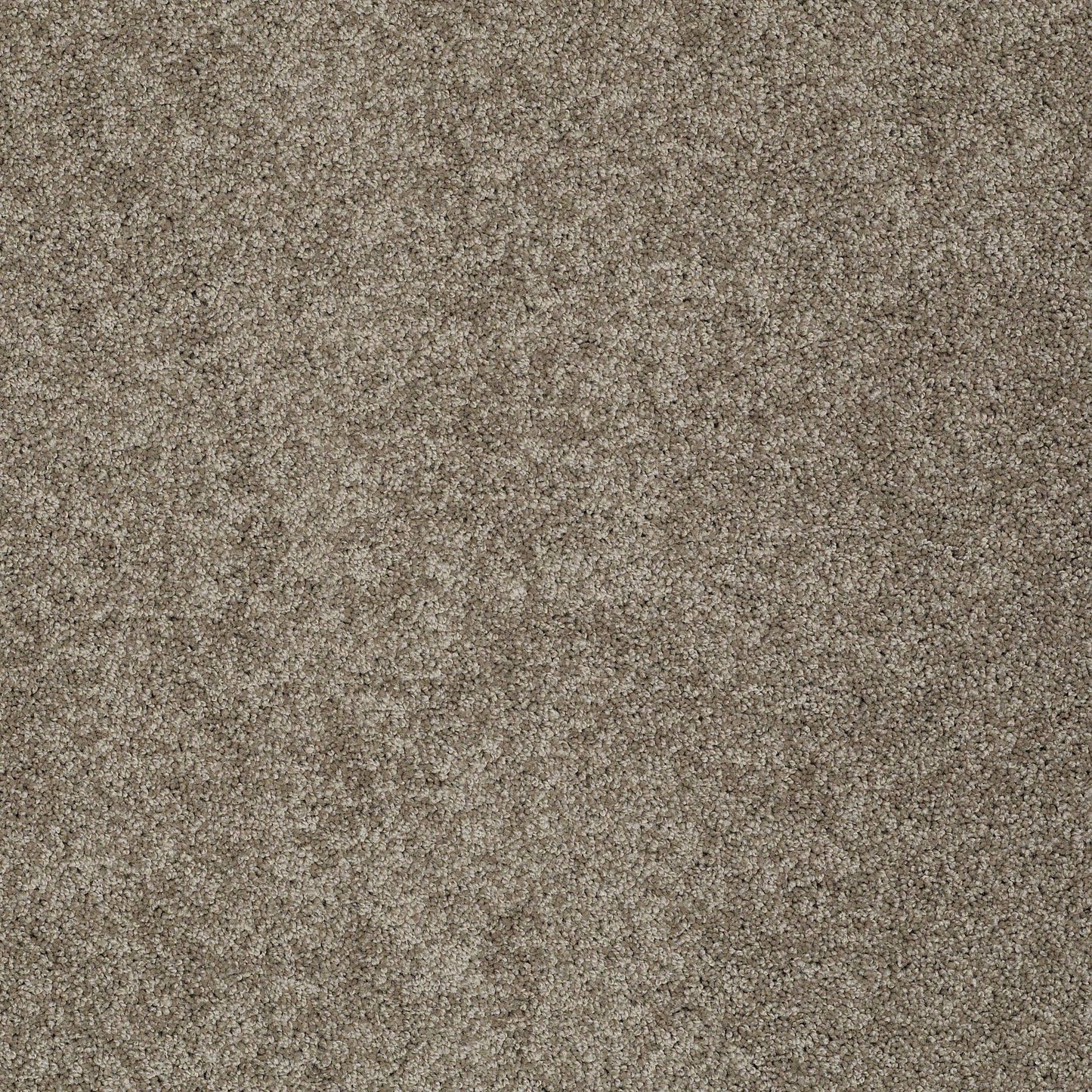 TEXTURE BCF