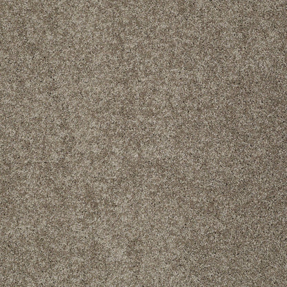 TEXTURE BCF