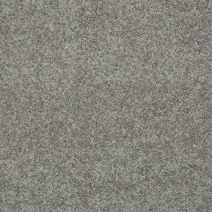 TEXTURE BCF