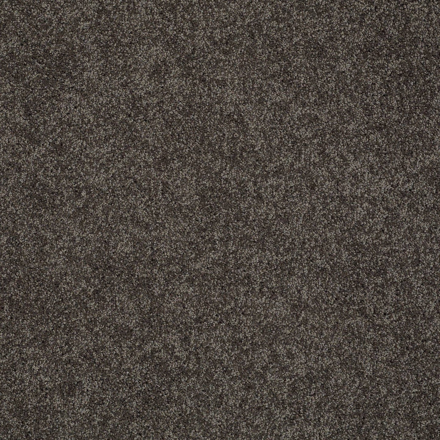 TEXTURE BCF