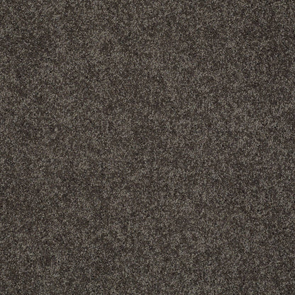TEXTURE BCF