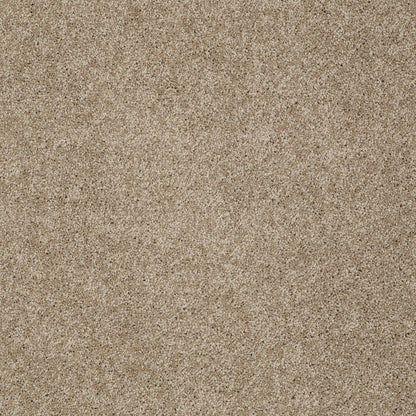 TEXTURE BCF