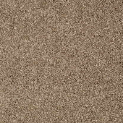 TEXTURE BCF