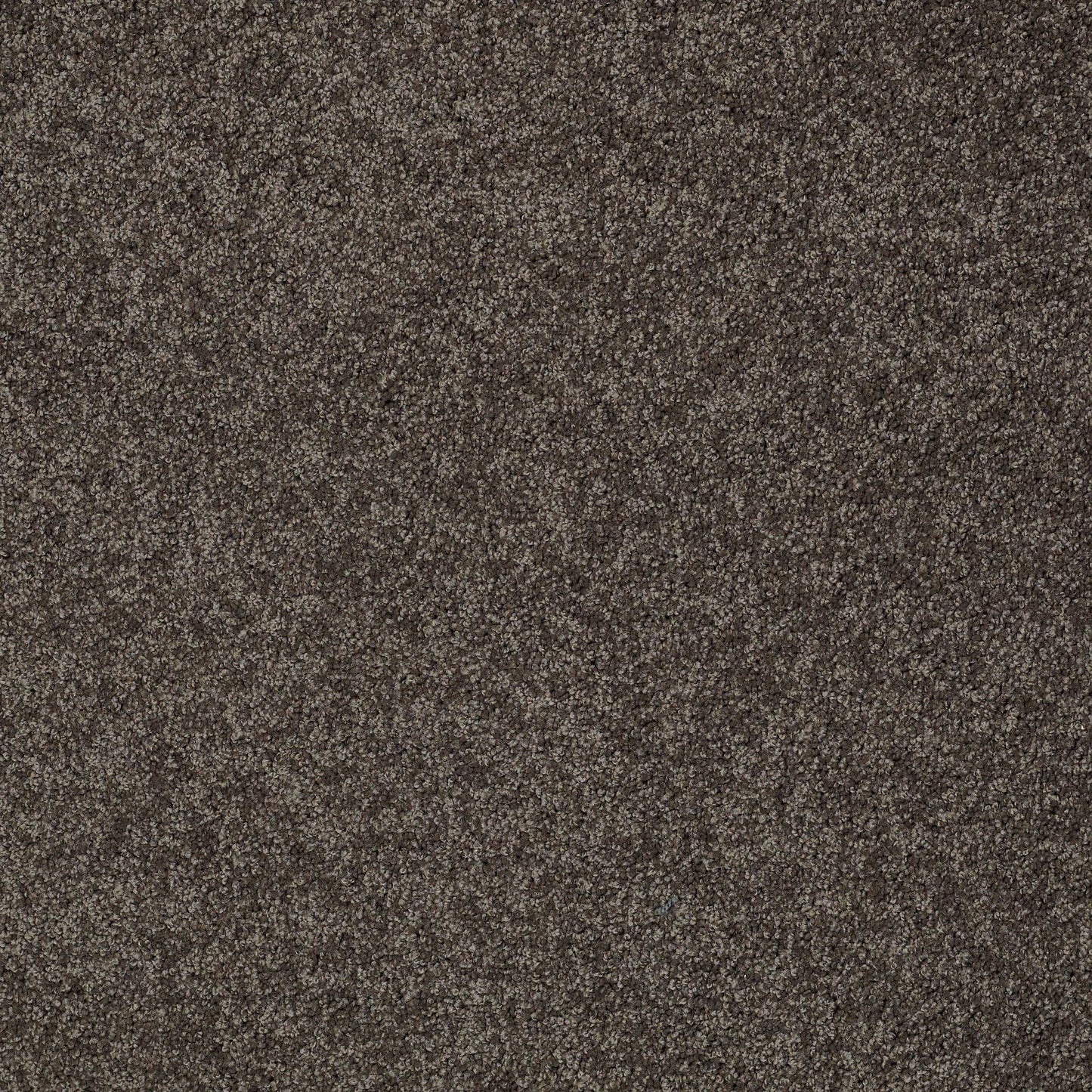 TEXTURE BCF