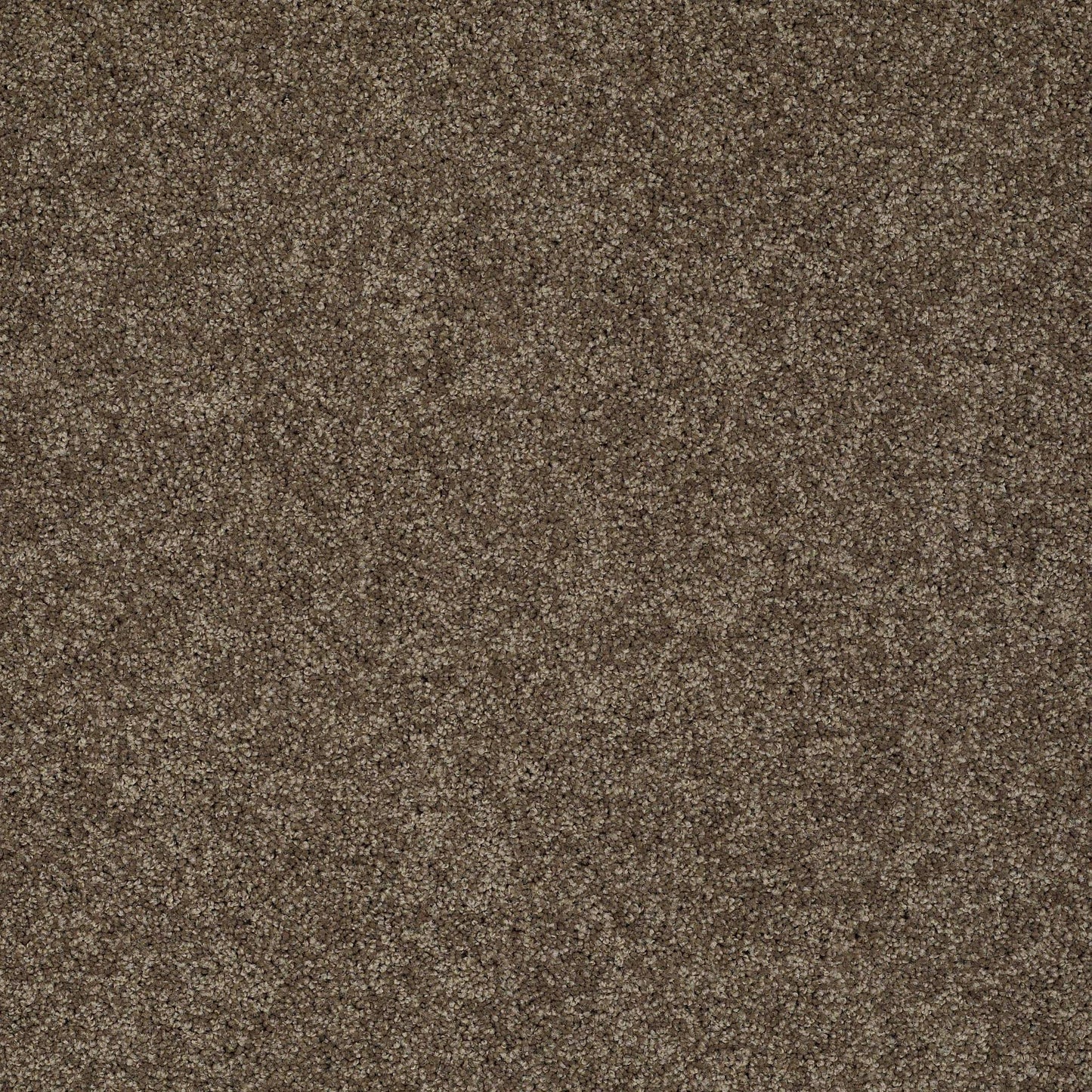 TEXTURE BCF