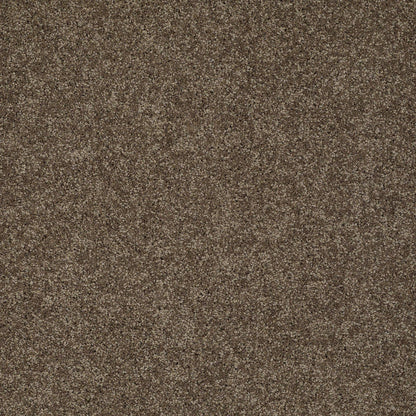 TEXTURE BCF